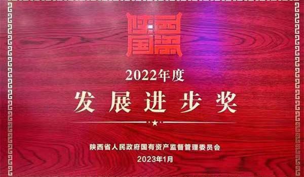 陜外集團(tuán)榮獲陜西省國資系統(tǒng)2022年度“發(fā)展進(jìn)步獎”